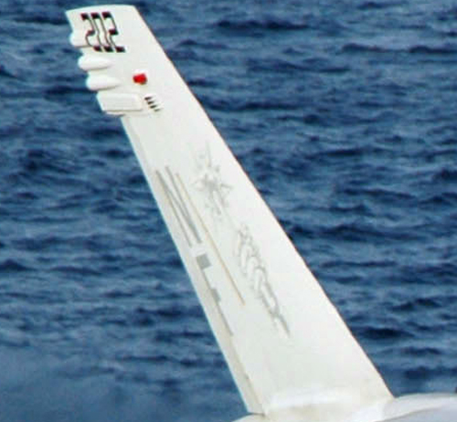 Tail Markings - 2007