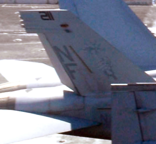 Tail Markings - 2008