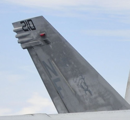 Tail Markings - 2012