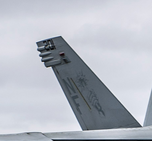 Tail Markings - 2014