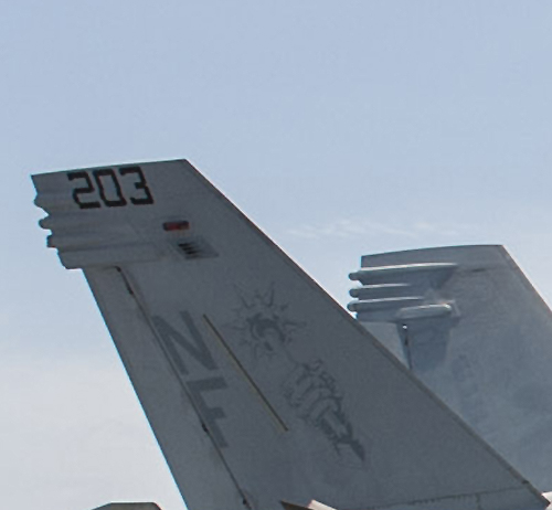 Tail Markings - 2016