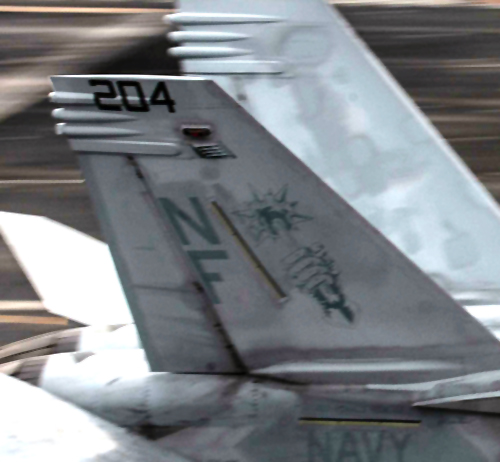 Tail Markings - 2019
