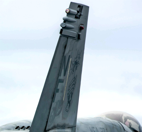 Tail Markings - 2020