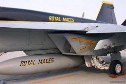 VFA-27 F/A-18E  NAF Atsugi
